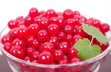 Fresh red currants in a glass bowl with grean leaf