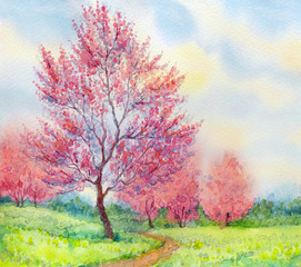 Obrazy  Akwarela wiosenny krajobraz. Kwitnące drzewo na polu