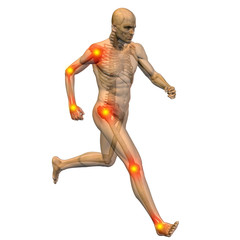 3D human man anatomy with articular pain