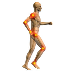 Fototapeta premium 3D human man anatomy with articular pain