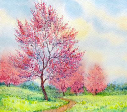 Watercolor spring landscape. Flowering tree in a field