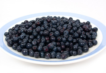 Wild blueberries in a plate isolated on white background