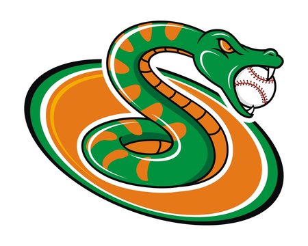 snake pyton reptile baseball sport image vector