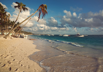 Palm trees on the sandy ocean beach with boat