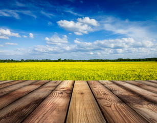 Yellow canola field with sky, wooden planks floor