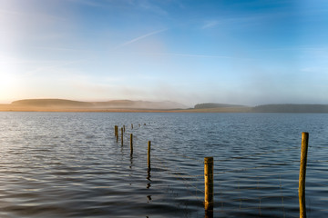 Fototapeta na wymiar Misty lake