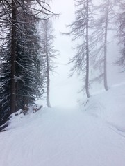 Foggy ski slope