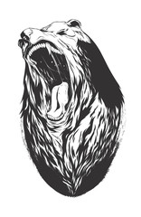 Vector illustration with bear head