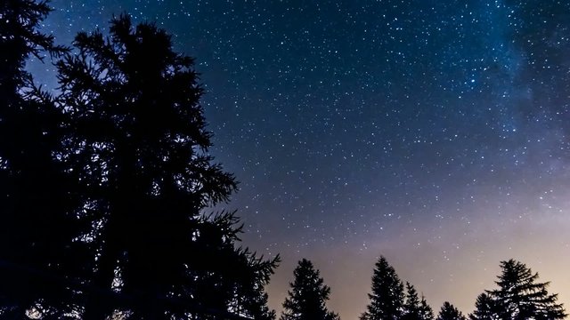 timelapse stars and milky way in mountain woods. Italy