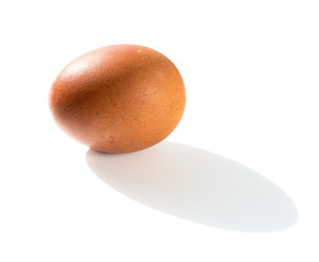 Chicken egg