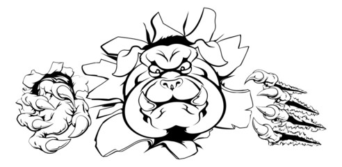 Bulldog crashing through wall