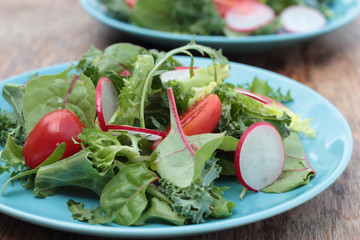 Freshly prepared green salad with sliced radish and tomatoes.