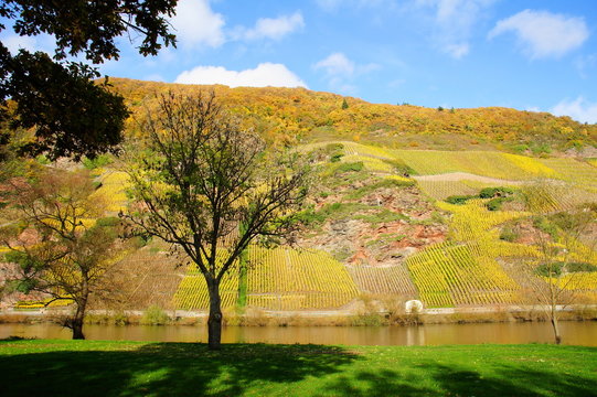 Weinlage Erdener Treppchen