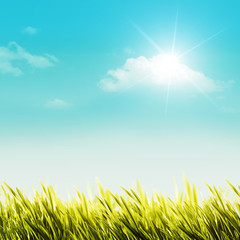Fototapeta premium Shiny summer day on the meadow, natural backgrounds