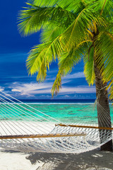 Empty hammock between palm trees on tropical beach of Rarotonga