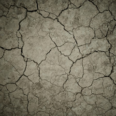 dry cracked soil background
