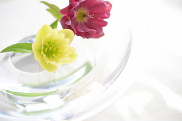 ガラス容器とクリスマスローズ