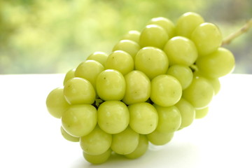 シャインマスカット