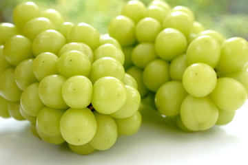 シャインマスカット