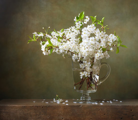 Still life with bouquet of cherry blossoms in a glass jug © Marta Teron