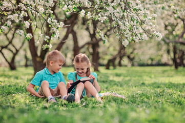 Naklejka na ściany i meble happy brother and sister reading book in spring apple garden