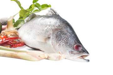 Snapper and spices isolate on white