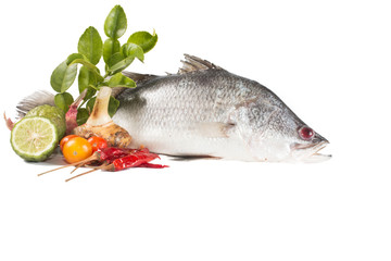 Snapper and spices isolate on white