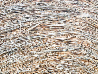 Closeup of  hay background