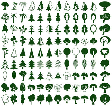 Trees icons on white