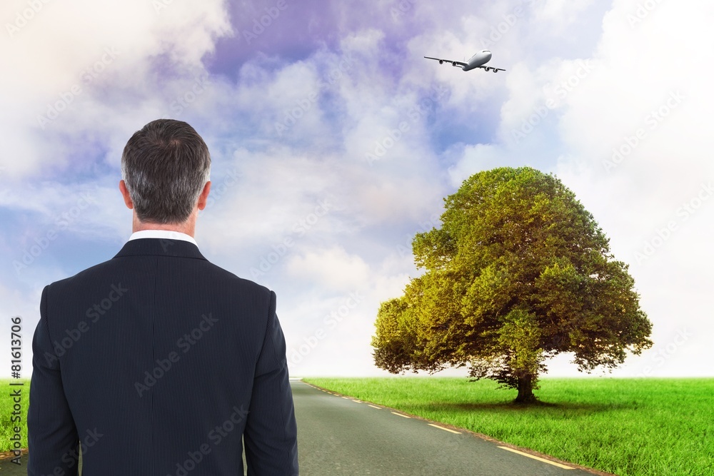 Poster composite image of rear view of an elegant businessman