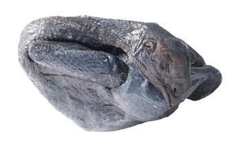 Obraz premium Whole Black Chicken isolated On White Background