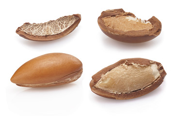 seeds of argan on white,a close up on white background