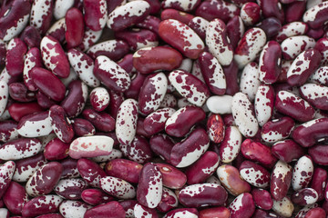 Dry mottled beans