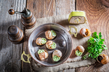 Homemade snails. with garlic butter and hebrs