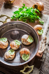 Delicious snails. with garlic butter