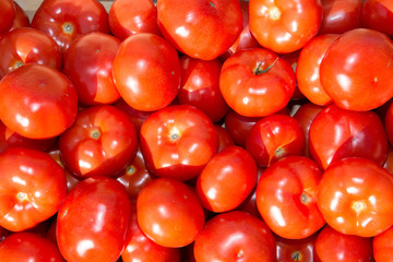 Picture of red tomatoes background. Group of tomatoes