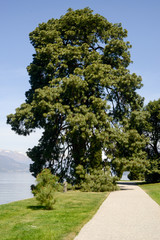 Gardens of Villa Melzi on Lake Como