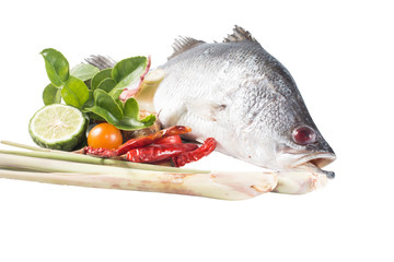 Snapper and spices isolate on white