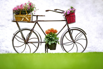 Fototapeta na wymiar Iron Hand Made Bicycle and Flowers