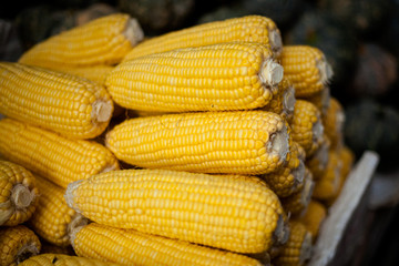 Fresh vegetables on market