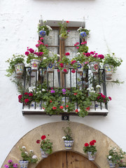 Fototapeta na wymiar Balcón repleto de macetas con flores
