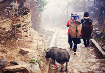 Hmong women are on a way from their village to Sapa, Vietnam.