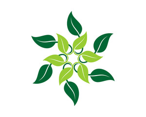 Circle Leaf Complex