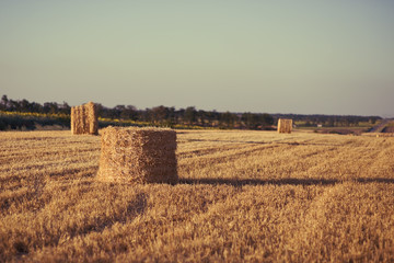 haystack in the evening light