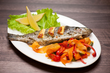 rainbow trout fish