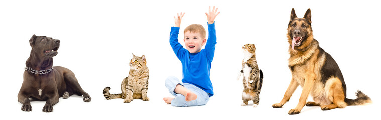 Group of a pets and cheerful child together