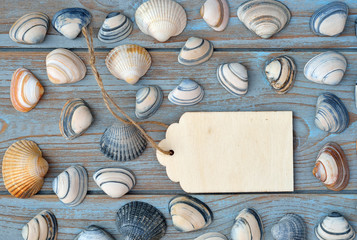 wooden background with sea shells and wooden empty label