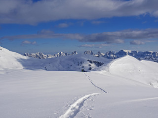 Fototapeta na wymiar Ski tracks in a snowy swiss alpine landscape (Churfirsten)