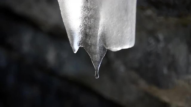 Blueridge Parkway Single Icecicle Dripping