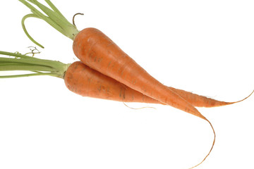 two carrots isolated on white background